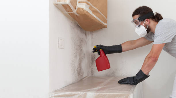 Professional Mold Inspection And Testing technician working in Leland, NC